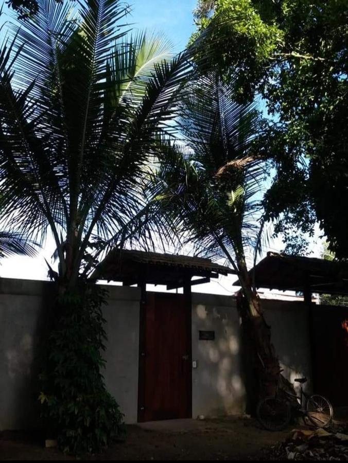Vila Prosperidade Trancoso Ngoại thất bức ảnh